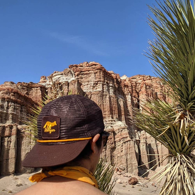 Runyon American Made In USA Brown Gold Trucker Hat Hiking Outdoor Fitness Running Trails