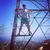Runyon Canyon Apparel Burnt Woods Trucker Made In USA