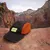 Runyon Canyon Apparel Rad Reflective Burnt Woods Performance Camp Hat Made In The USA