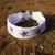 Runyon Canyon Apparel Blue Striped Star Bandana Made In The USA