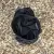 Runyon TrailStash 5" Gravel Short 2.0 Shell - Black Rock