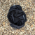 Runyon TrailStash 5" Gravel Short 2.0 Shell - Black Rock