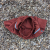 Runyon TrailStash 5" Gravel Short 2.0 Shell - Rust
