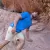 Runyon 9" TrailStash Gravel Cycling Short great for Trail Running, Hiking, Fitness Outdoors Khaki/Sand