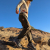 Runyon TrailStash Scrambler - Unisex Olive Green Hiking Jogger Pants American Made In USA.
