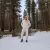 Runyon Vintage Winter White French Terry Cotton Sweatpant Joggers - American Made In USA - Runyon Canyon Apparel