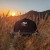 Runyon Black Reflective Canyon Trucker Hat - American Made In USA Running Hat