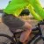 Runyon Men's Fluorescent Yellow Safety Yellow Unisex Pocketed Sun Hoodie - Drawcord, Inside Pockets, Watch Window, Lightweight, UPF Sun Protection, Minimal Branding