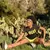 American Made In USA Women's Running Clothing RUN Black Neon Fitness Shirt Performance Sportswear Runyon Canyon Apparel
