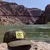 Runyon Canyon Apparel Pine Forester Reflective Tracer Trucker Hat