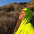 Runyon Women's Unisex Neon Lime Green High Visibility Sun Hoodie Shirt Long Sleeve Thumbholes Sun Protection Quick Dry American Made In USA