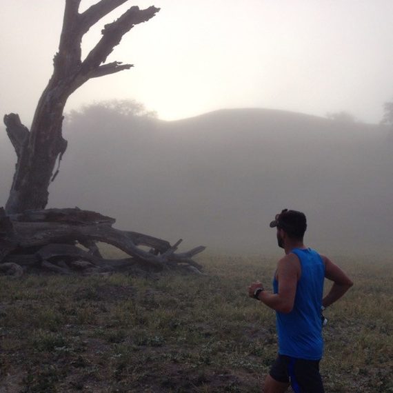 Runyon Canyon Apparel Customer Postcard