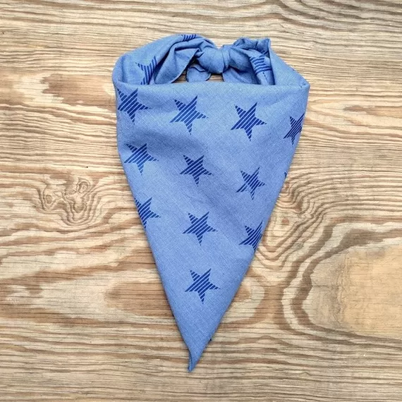Runyon Canyon Apparel Signature Star Spangled Bandana Made In USA