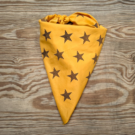 Runyon Canyon Apparel Golden Brown Striped Star Bandana