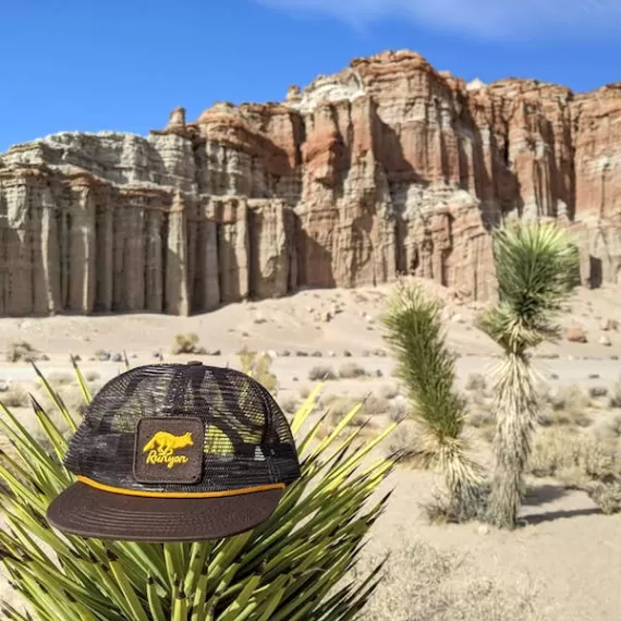 Runyon Toyon Gold Reflective Trucker Hat American Made In USA Red Rock Canyon State Park