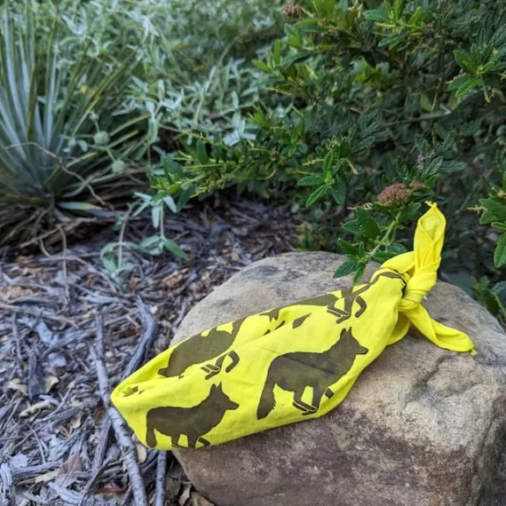 Runyon Bright Yellow American Made In USA Bandana