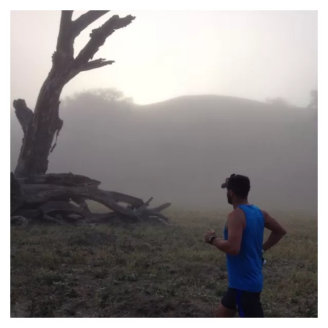 Runyon Canyon Apparel Customer Postcard