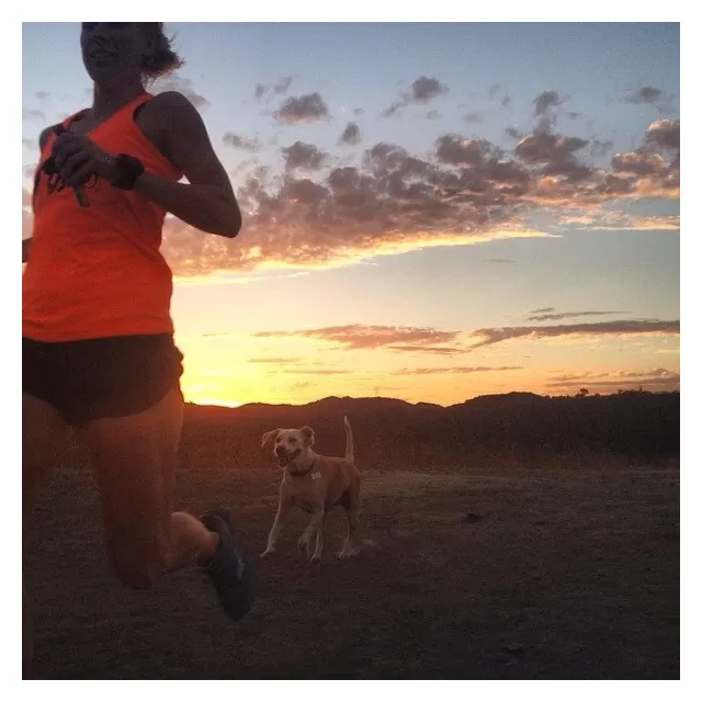Runyon Canyon Apparel Womens Signature Neon Orange Yoga Tank Made In USA