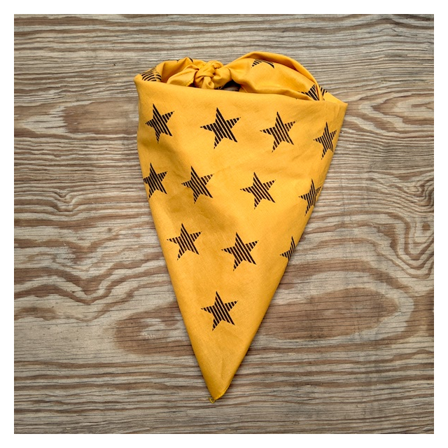 Runyon Canyon Apparel Golden Brown Striped Star Bandana