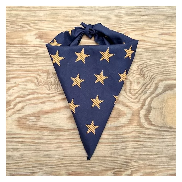 Runyon Canyon Apparel Navy Gold Striped Star Bandana