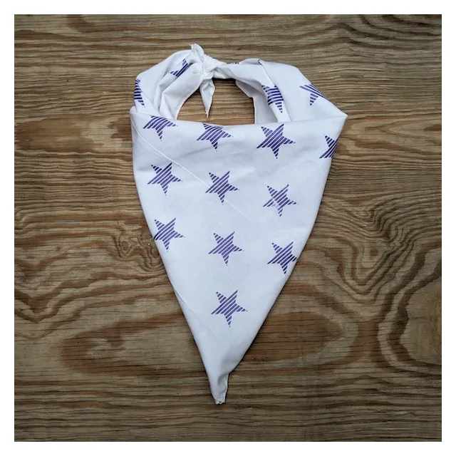 Runyon Canyon Apparel Purple Ditto Striped Star Bandana