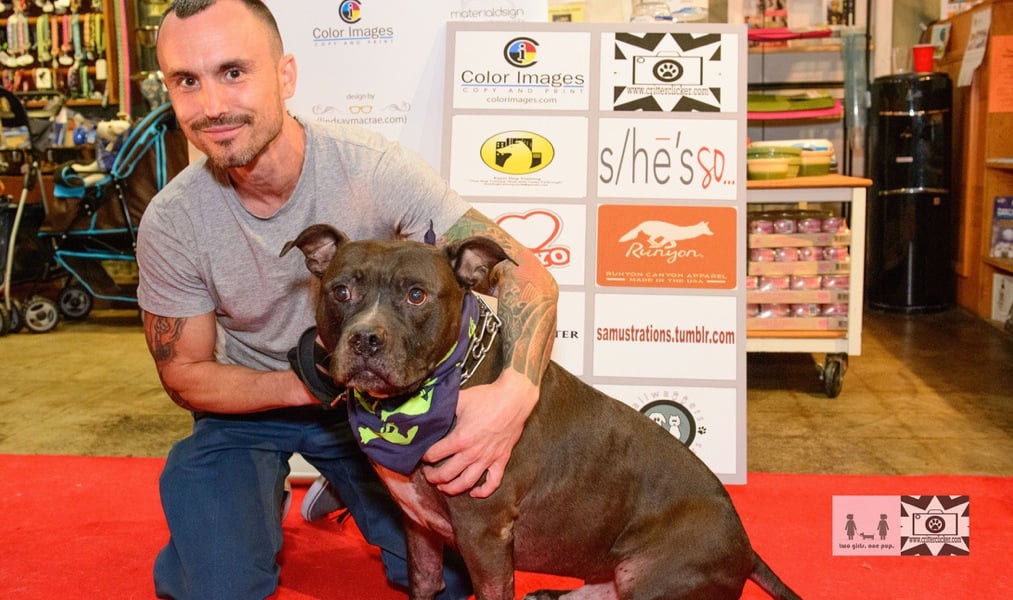 Dogs hit the red carpet rockin' bandanas from Runyon Canyon Apparel