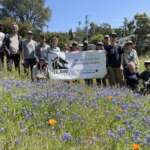 Citizens for Los Angeles Wildlife Rewilding Mulholland and Laurel Canyon